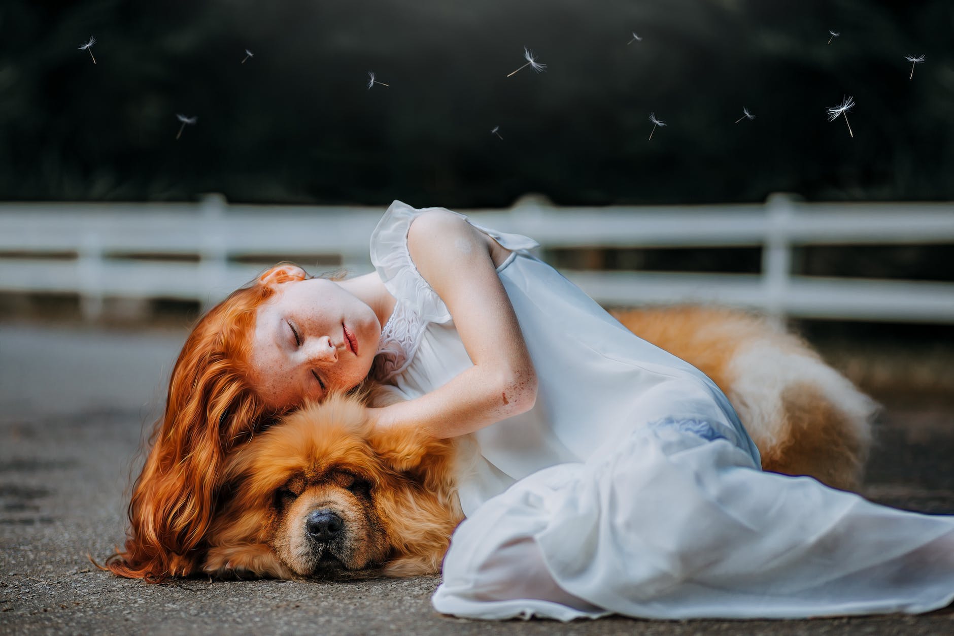 girl and dog sleeping on gray pavement